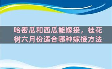 哈密瓜和西瓜能嫁接，桂花树六月份适合哪种嫁接方法