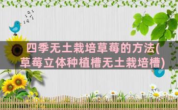 四季无土栽培草莓的方法(草莓立体种植槽无土栽培槽)