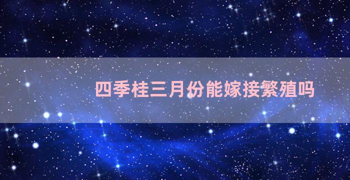 四季桂三月份能嫁接繁殖吗