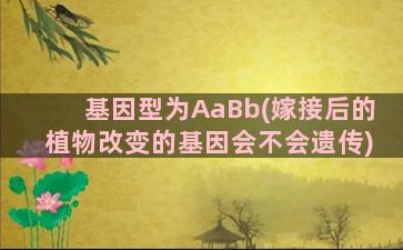 基因型为AaBb(嫁接后的植物改变的基因会不会遗传)