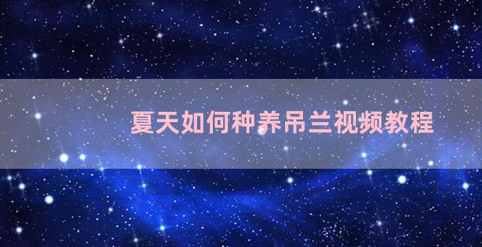 夏天如何种养吊兰视频教程