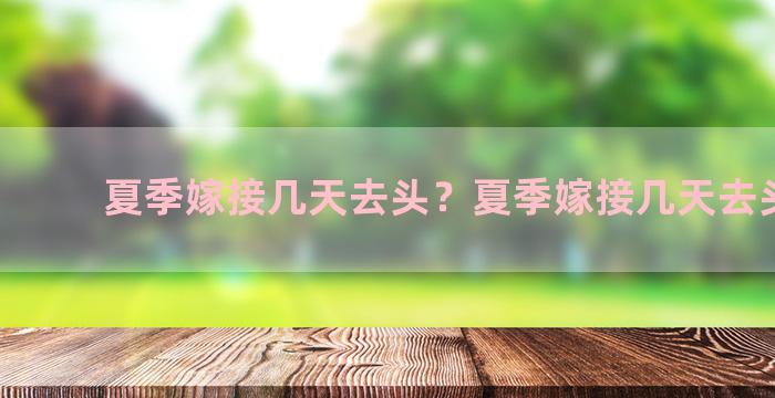 夏季嫁接几天去头？夏季嫁接几天去头发好