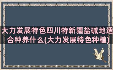 大力发展特色四川特新疆盐碱地适合种养什么(大力发展特色种植)