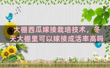 大棚西瓜嫁接栽培技术，冬天大棚里可以嫁接成活率高吗