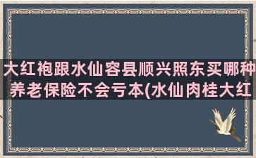 大红袍跟水仙容县顺兴照东买哪种养老保险不会亏本(水仙肉桂大红袍哪个好喝)