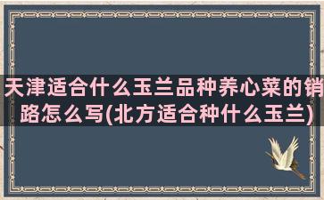 天津适合什么玉兰品种养心菜的销路怎么写(北方适合种什么玉兰)