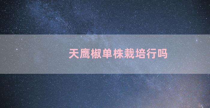 天鹰椒单株栽培行吗