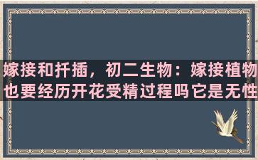 嫁接和扦插，初二生物：嫁接植物也要经历开花受精过程吗它是无性生殖，那它怎么开花结果