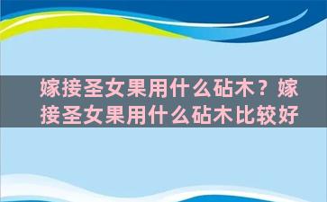 嫁接圣女果用什么砧木？嫁接圣女果用什么砧木比较好