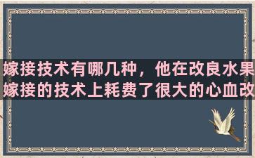 嫁接技术有哪几种，他在改良水果嫁接的技术上耗费了很大的心血改病句