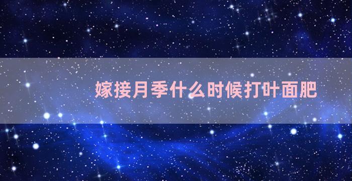 嫁接月季什么时候打叶面肥