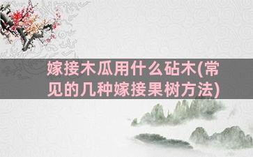 嫁接木瓜用什么砧木(常见的几种嫁接果树方法)