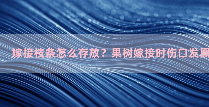 嫁接枝条怎么存放？果树嫁接时伤口发黑是怎么回事