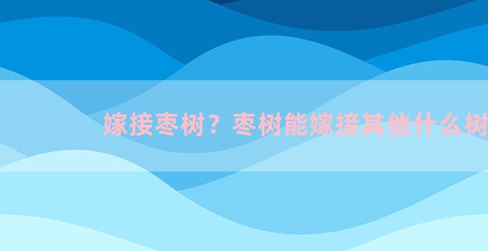 嫁接枣树？枣树能嫁接其他什么树