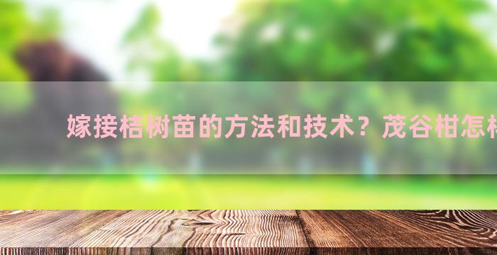 嫁接桔树苗的方法和技术？茂谷柑怎样嫁接