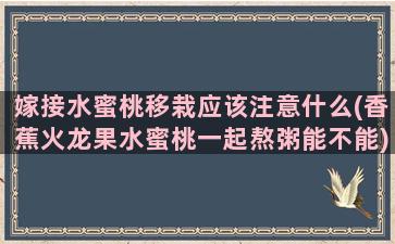 嫁接水蜜桃移栽应该注意什么(香蕉火龙果水蜜桃一起熬粥能不能)