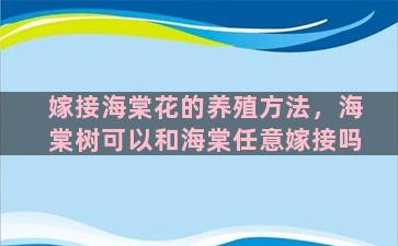 嫁接海棠花的养殖方法，海棠树可以和海棠任意嫁接吗