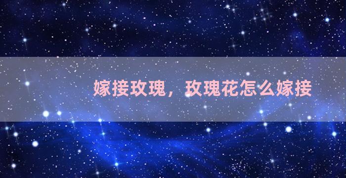 嫁接玫瑰，玫瑰花怎么嫁接