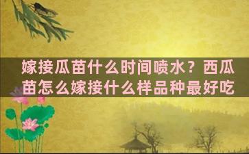 嫁接瓜苗什么时间喷水？西瓜苗怎么嫁接什么样品种最好吃