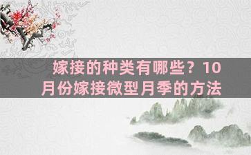 嫁接的种类有哪些？10月份嫁接微型月季的方法