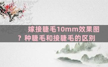 嫁接睫毛10mm效果图？种睫毛和接睫毛的区别