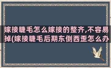 嫁接睫毛怎么嫁接的整齐,不容易掉(嫁接睫毛后期东倒西歪怎么办)