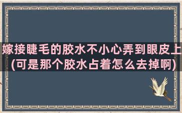 嫁接睫毛的胶水不小心弄到眼皮上(可是那个胶水占着怎么去掉啊)