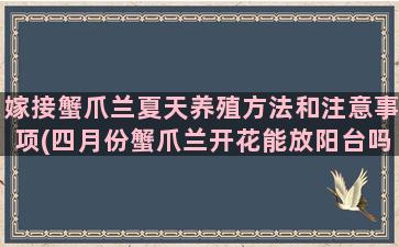 嫁接蟹爪兰夏天养殖方法和注意事项(四月份蟹爪兰开花能放阳台吗)