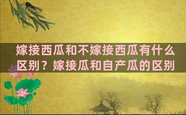 嫁接西瓜和不嫁接西瓜有什么区别？嫁接瓜和自产瓜的区别