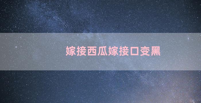 嫁接西瓜嫁接口变黑