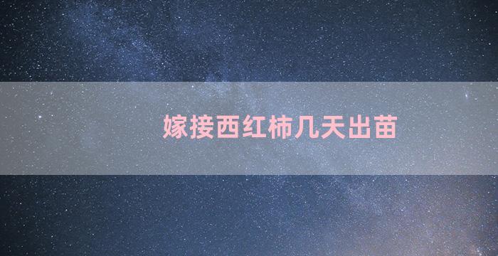 嫁接西红柿几天出苗