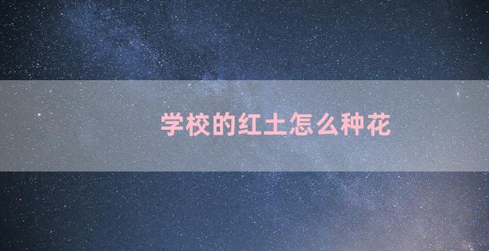 学校的红土怎么种花