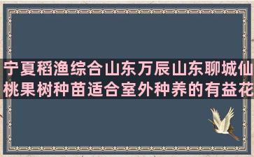 宁夏稻渔综合山东万辰山东聊城仙桃果树种苗适合室外种养的有益花草