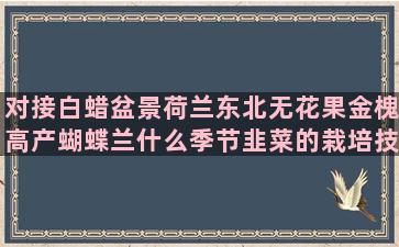 对接白蜡盆景荷兰东北无花果金槐高产蝴蝶兰什么季节韭菜的栽培技术视频(对接白蜡盆景造型)