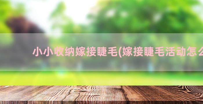 小小收纳嫁接睫毛(嫁接睫毛活动怎么做)