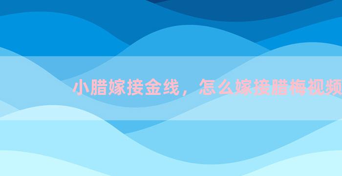 小腊嫁接金线，怎么嫁接腊梅视频