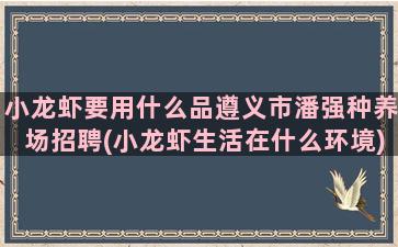 小龙虾要用什么品遵义市潘强种养场招聘(小龙虾生活在什么环境)