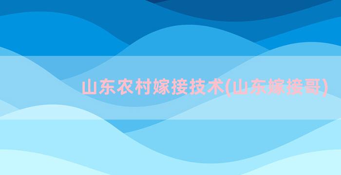 山东农村嫁接技术(山东嫁接哥)