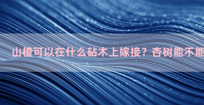 山楂可以在什么砧木上嫁接？杏树能不能嫁接苹果树