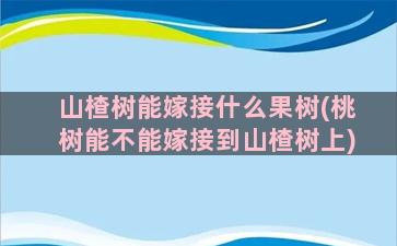 山楂树能嫁接什么果树(桃树能不能嫁接到山楂树上)