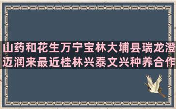 山药和花生万宁宝林大埔县瑞龙澄迈润来最近桂林兴泰文兴种养合作社