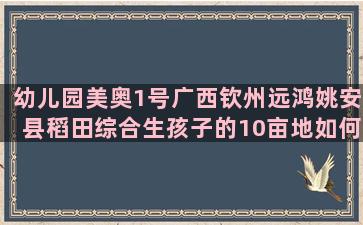 幼儿园美奥1号广西钦州远鸿姚安县稻田综合生孩子的10亩地如何种养结合(牙克石美奥幼儿园)