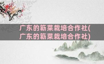 广东的簕菜栽培合作社(广东的簕菜栽培合作社)