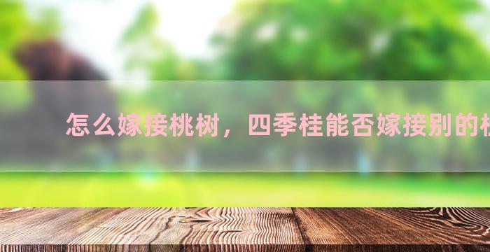 怎么嫁接桃树，四季桂能否嫁接别的桂花树