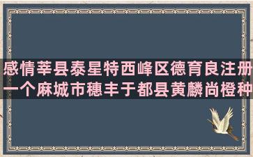 感情莘县泰星特西峰区德育良注册一个麻城市穗丰于都县黄麟尚橙种养基地