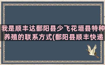 我是顺丰达鄱阳县少飞花垣县特种养殖的联系方式(鄱阳县顺丰快递总部在哪里)