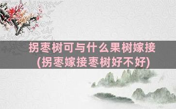 拐枣树可与什么果树嫁接(拐枣嫁接枣树好不好)