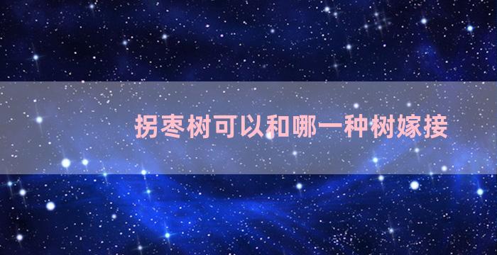 拐枣树可以和哪一种树嫁接