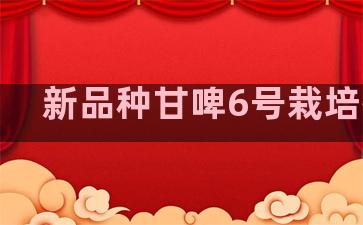 新品种甘啤6号栽培技术