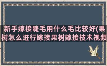 新手嫁接睫毛用什么毛比较好(果树怎么进行嫁接果树嫁接技术视频)